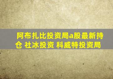 阿布扎比投资局a股最新持仓 社冰投资 科威特投资局